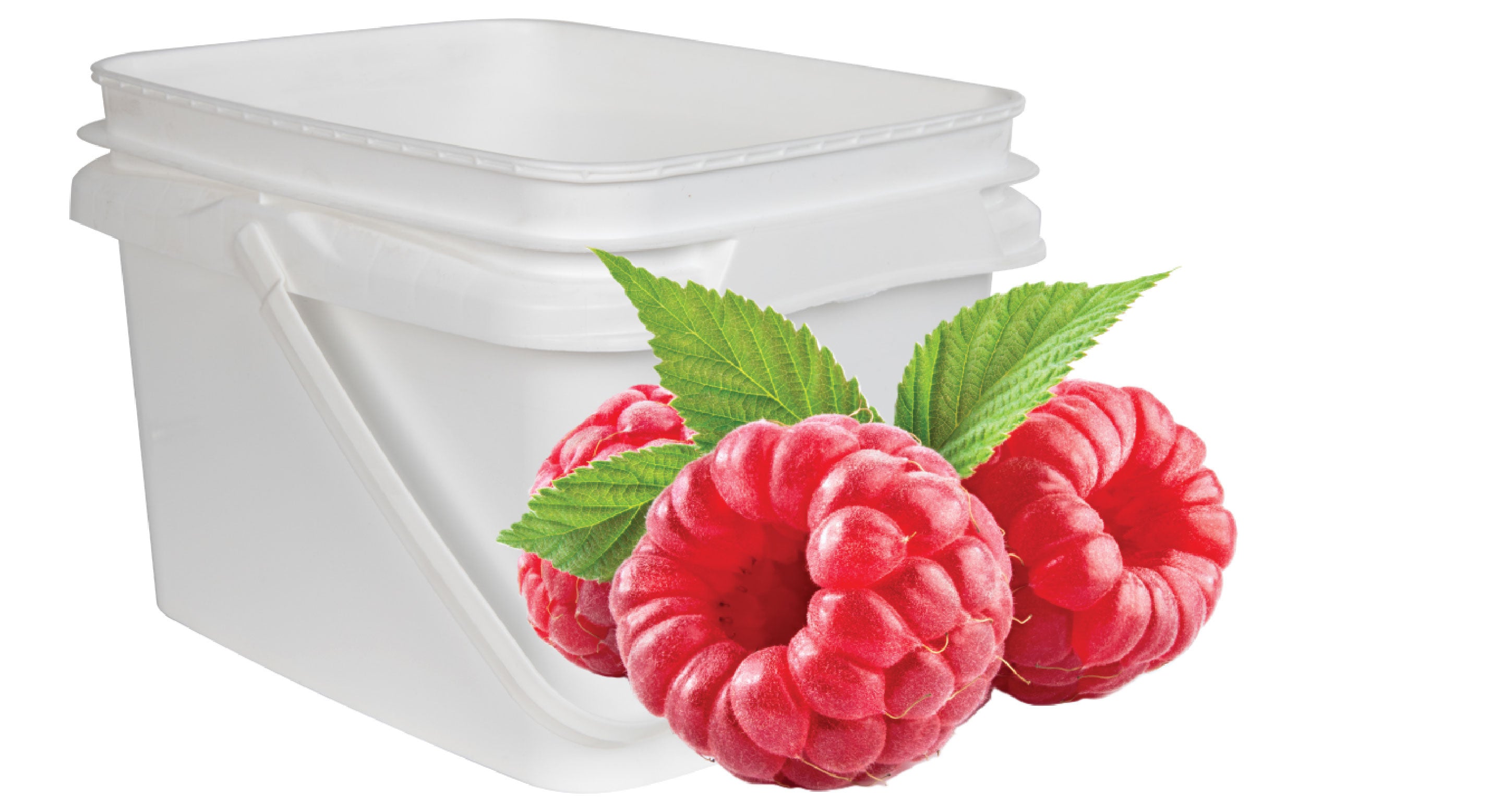 Raspberry Puree – 5 kg Bulk Pack | Mighty Fruits