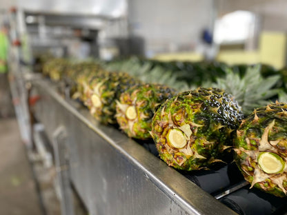 PINEAPPLE CHUNCKS IQF
